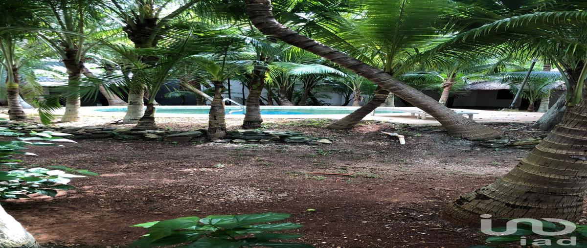Foto de rancho en venta en leona vicario 105, leona vicario, puerto morelos, quintana roo, 31009247 No. 04