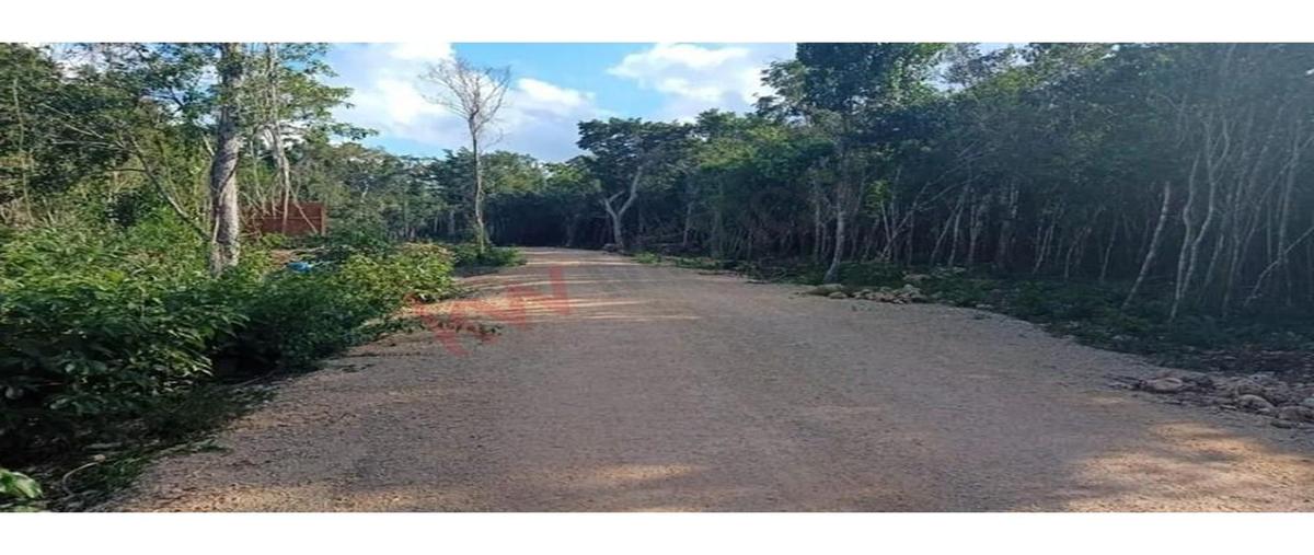 Foto de terreno habitacional en leona vicario , astoria, benito juárez, quintana roo, 27461317 foto 02 Foto de terreno habitacional en venta en leona vicario , astoria, benito juárez, quintana roo, 27461317 No. 02