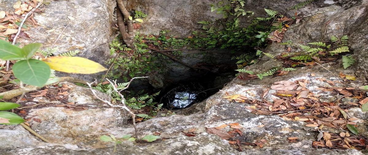 Foto de terreno habitacional en venta en  , leona vicario, benito juárez, quintana roo, 12114997 No. 03