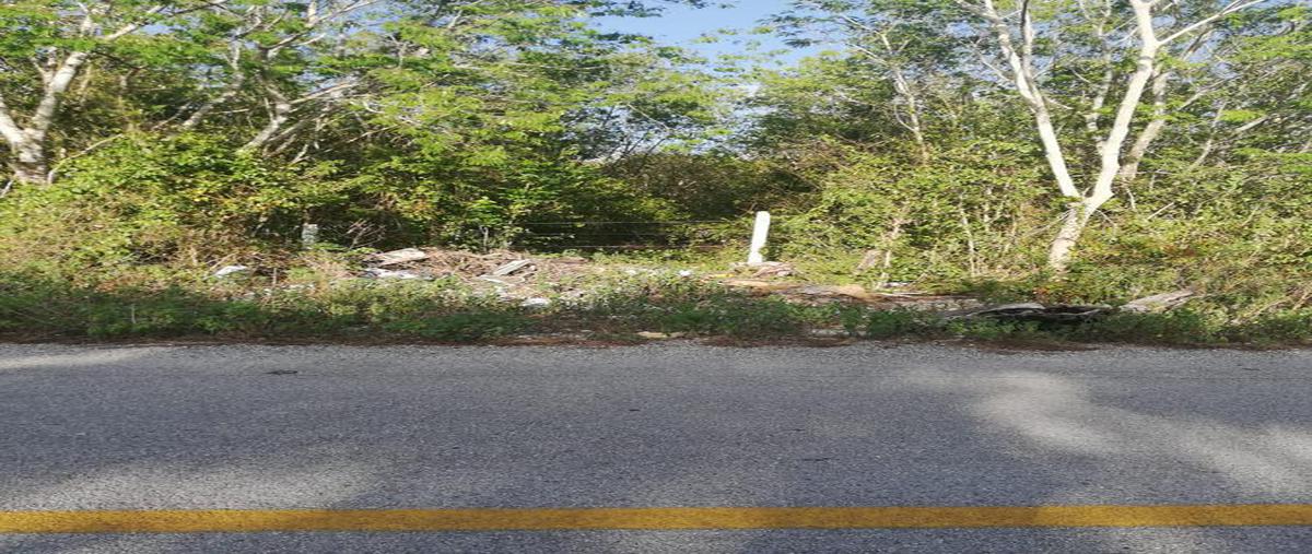 Foto de terreno habitacional en , leona vicario, benito juárez, quintana roo, 18015025 foto 02 Foto de terreno habitacional en venta en , leona vicario, benito juárez, quintana roo, 18015025 No. 02