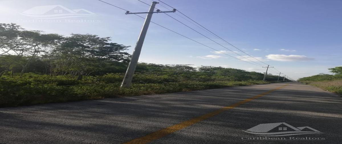 Foto de terreno habitacional en , leona vicario, benito juárez, quintana roo, 18015025 foto 04 Foto de terreno habitacional en venta en , leona vicario, benito juárez, quintana roo, 18015025 No. 04