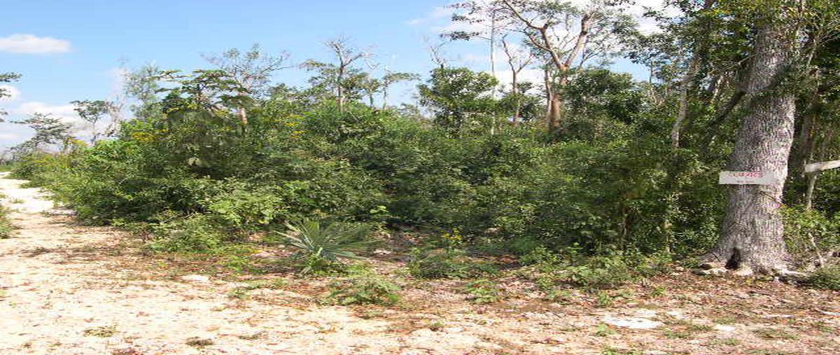 Foto de terreno habitacional en , leona vicario, benito juárez, quintana roo, 0 foto 04 Foto de terreno habitacional en venta en , leona vicario, benito juárez, quintana roo, 0 No. 04