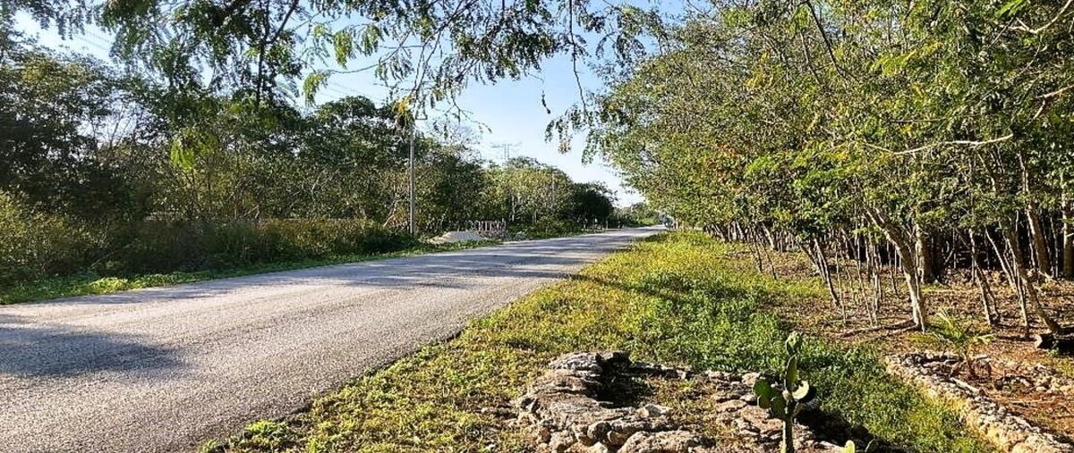 Foto de terreno habitacional en venta en  , leona vicario, benito juárez, quintana roo, 26201571 No. 05