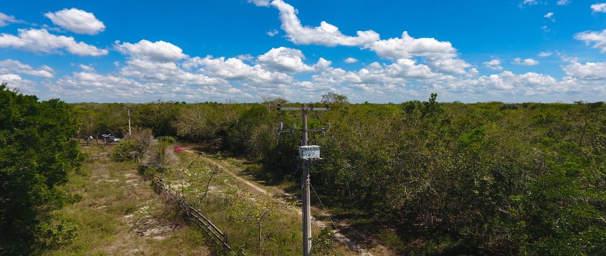 Foto de terreno habitacional en venta en  , leona vicario, benito juárez, quintana roo, 26680548 No. 05