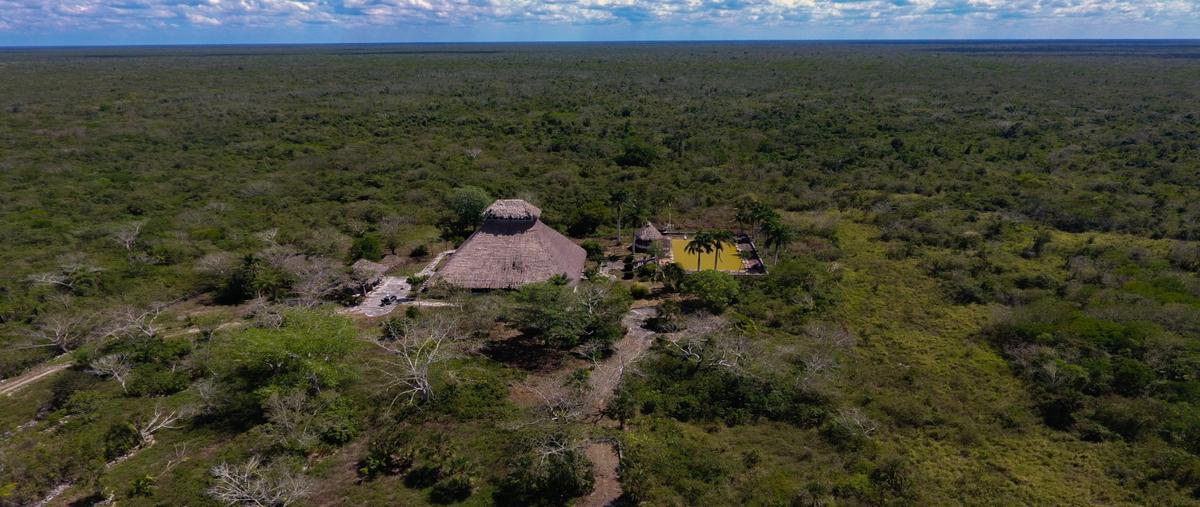 Foto de terreno habitacional en venta en  , leona vicario, benito juárez, quintana roo, 26680550 No. 03