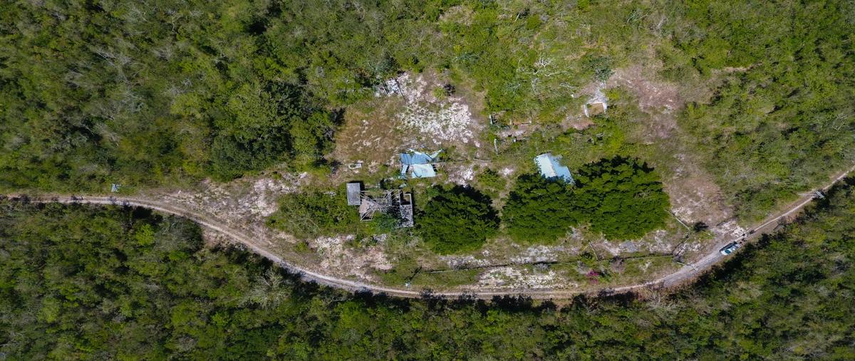 Foto de terreno habitacional en venta en  , leona vicario, benito juárez, quintana roo, 26680550 No. 04