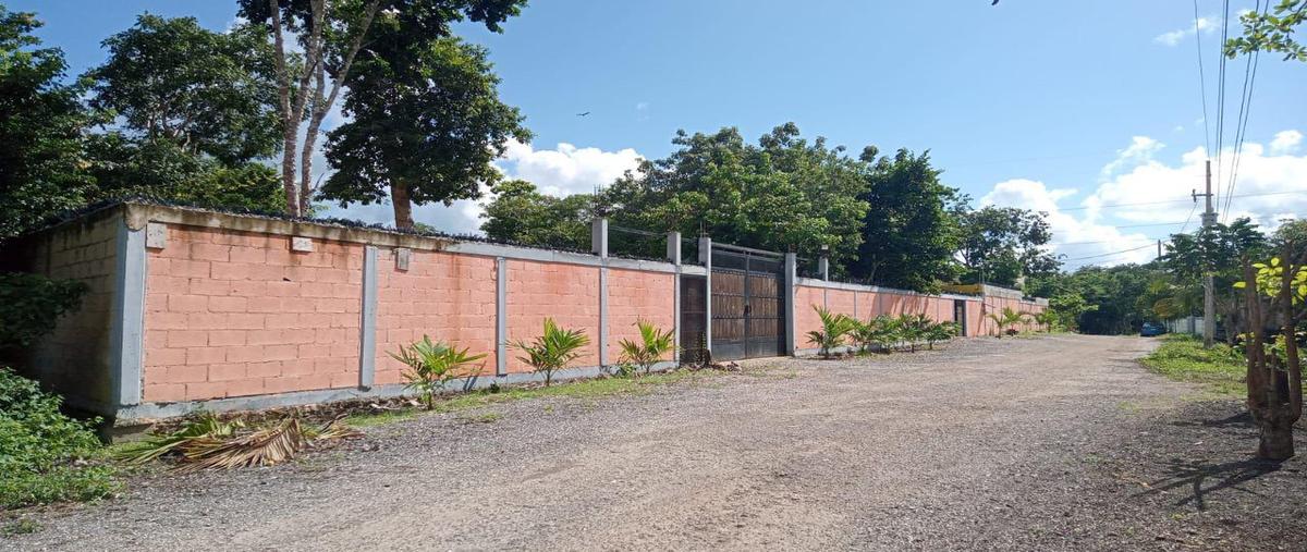 Foto de rancho en venta en  , leona vicario, benito juárez, quintana roo, 0 No. 04