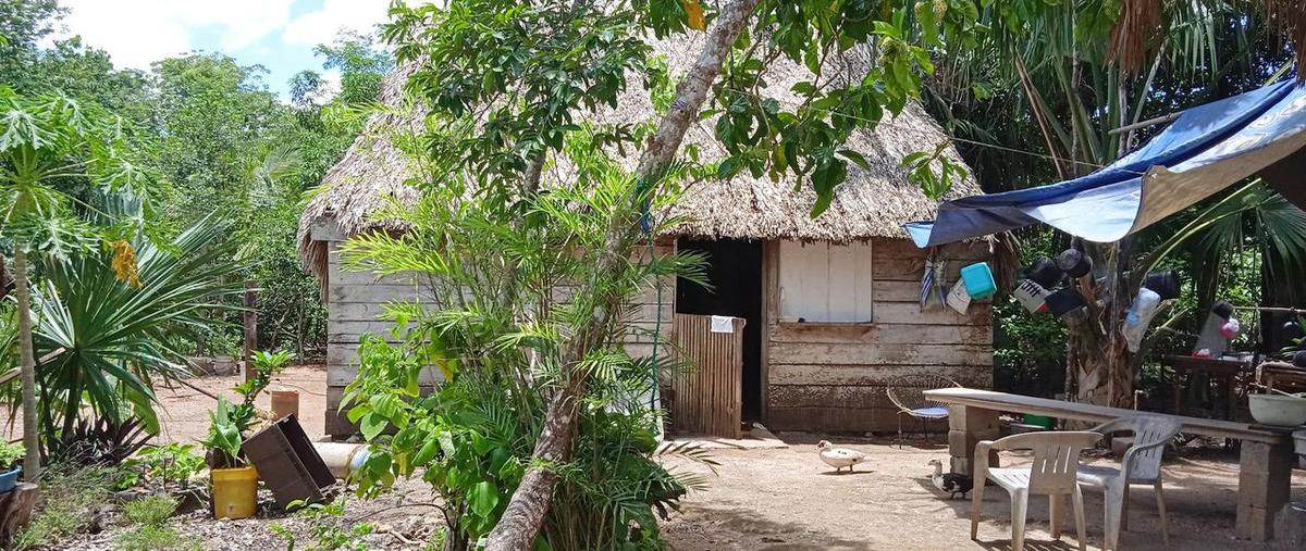 Foto de terreno habitacional en , leona vicario, benito juárez, quintana roo, 0 foto 02 Foto de terreno habitacional en venta en , leona vicario, benito juárez, quintana roo, 0 No. 02