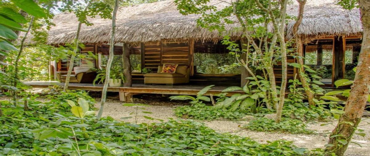 Foto de terreno habitacional en venta en  , leona vicario, benito juárez, quintana roo, 0 No. 03