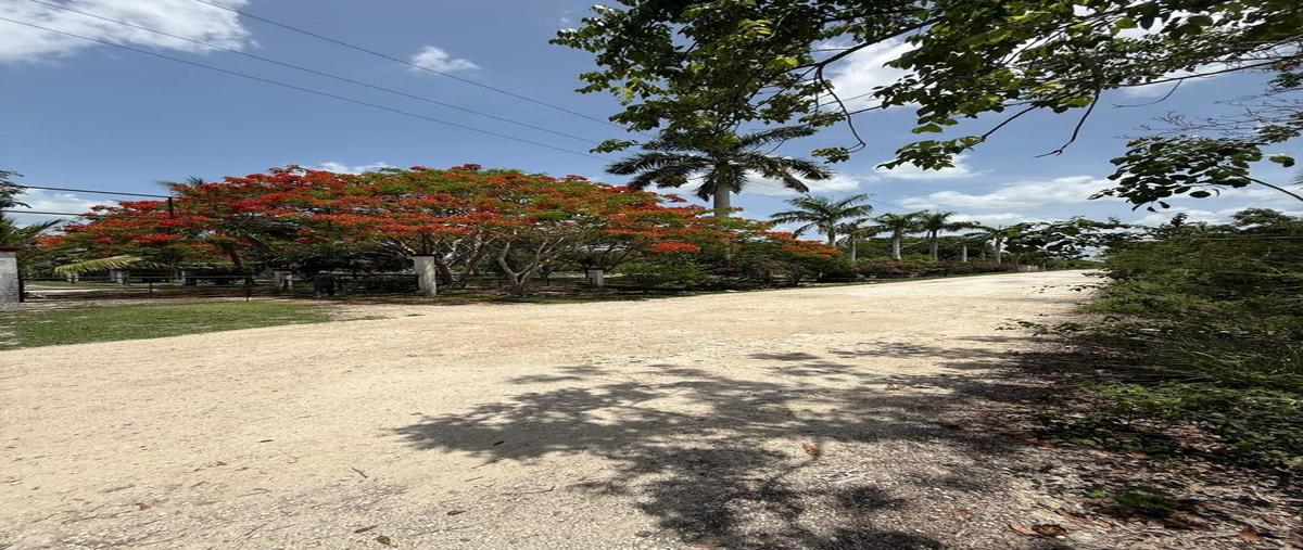 Foto de terreno habitacional en venta en  , leona vicario, benito juárez, quintana roo, 30052200 No. 03
