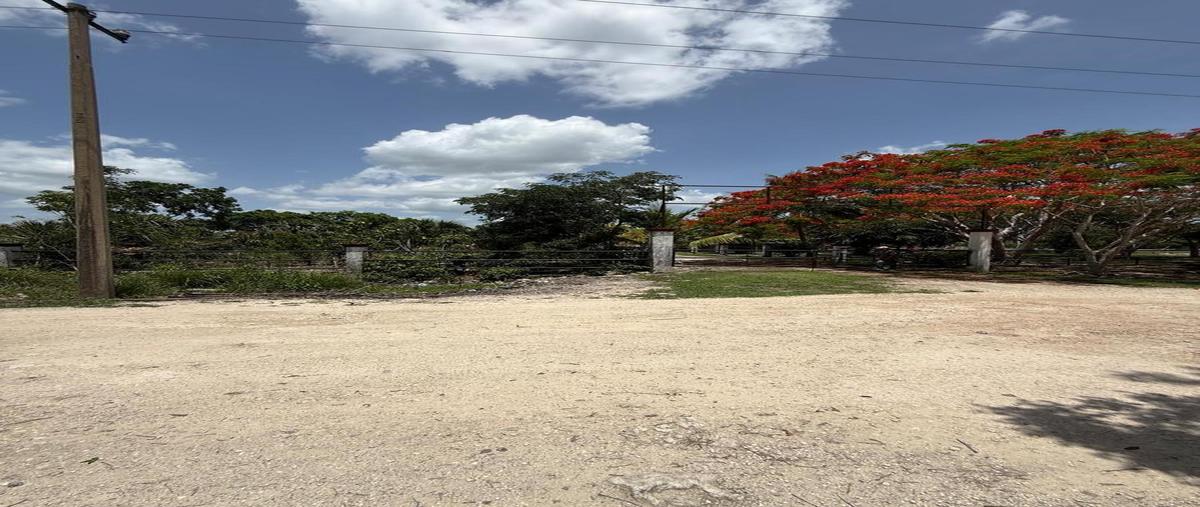 Foto de terreno habitacional en venta en  , leona vicario, benito juárez, quintana roo, 0 No. 04