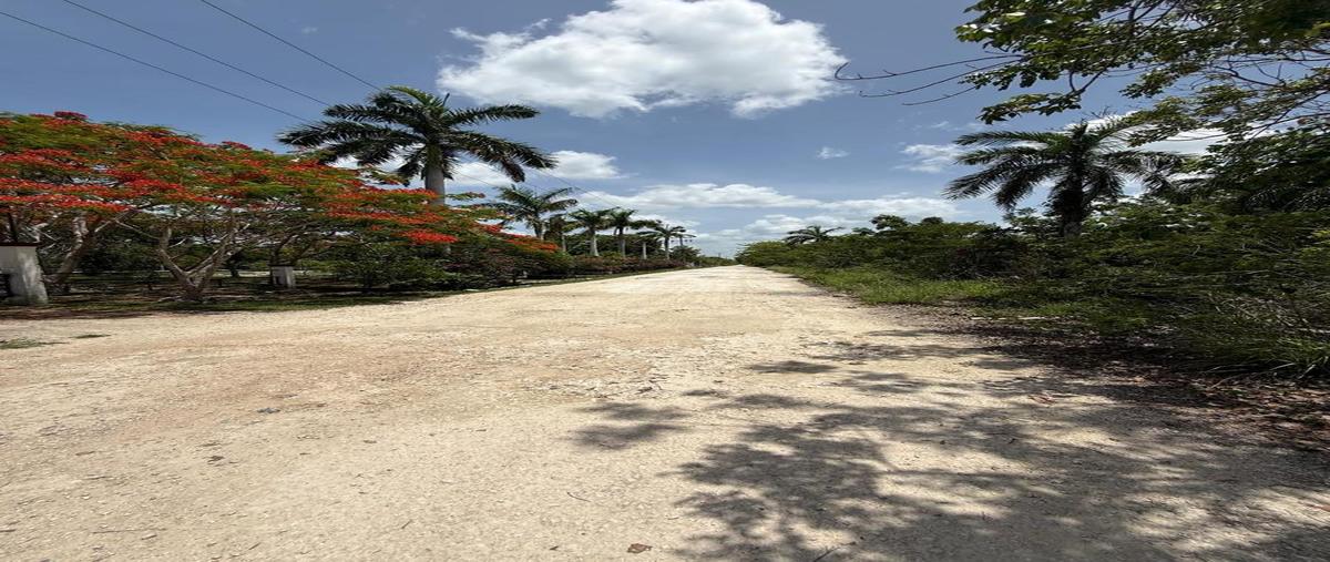 Foto de terreno habitacional en venta en  , leona vicario, benito juárez, quintana roo, 0 No. 05