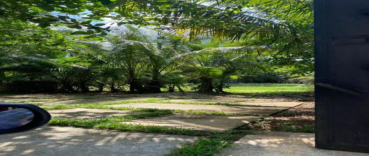 Foto de rancho en venta en  , leona vicario, benito juárez, quintana roo, 31499270 No. 04