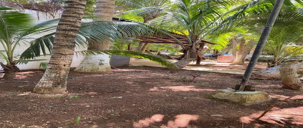 Foto de rancho en venta en  , leona vicario, benito juárez, quintana roo, 31499270 No. 05