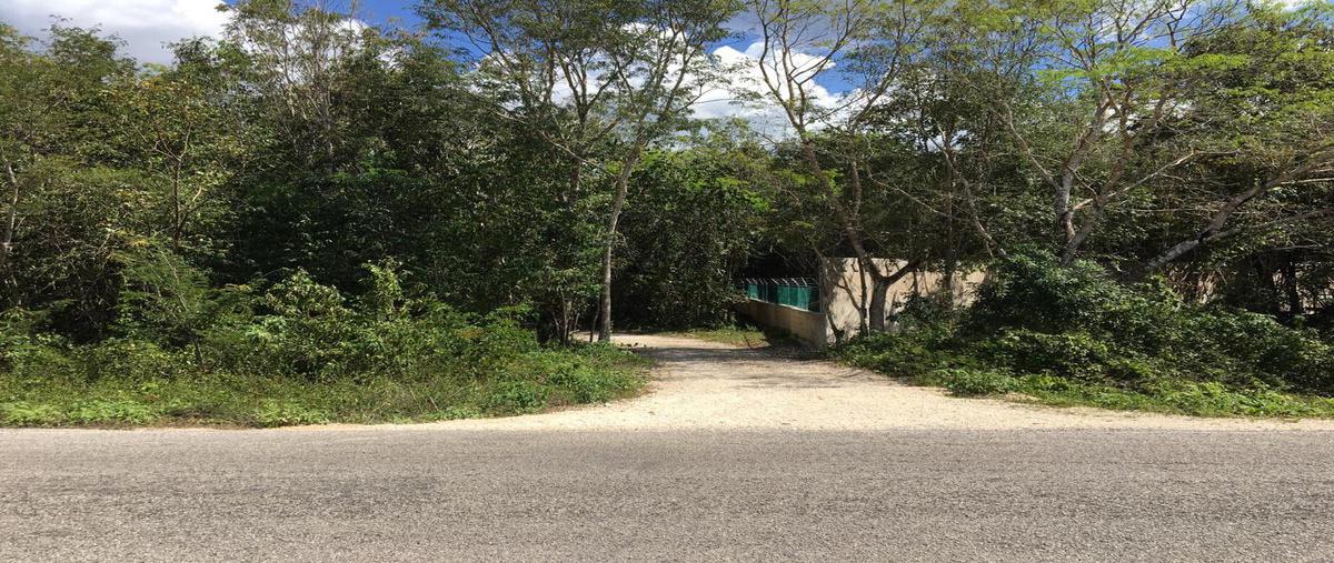 Foto de terreno habitacional en venta en  , leona vicario, benito juárez, quintana roo, 6736159 No. 03