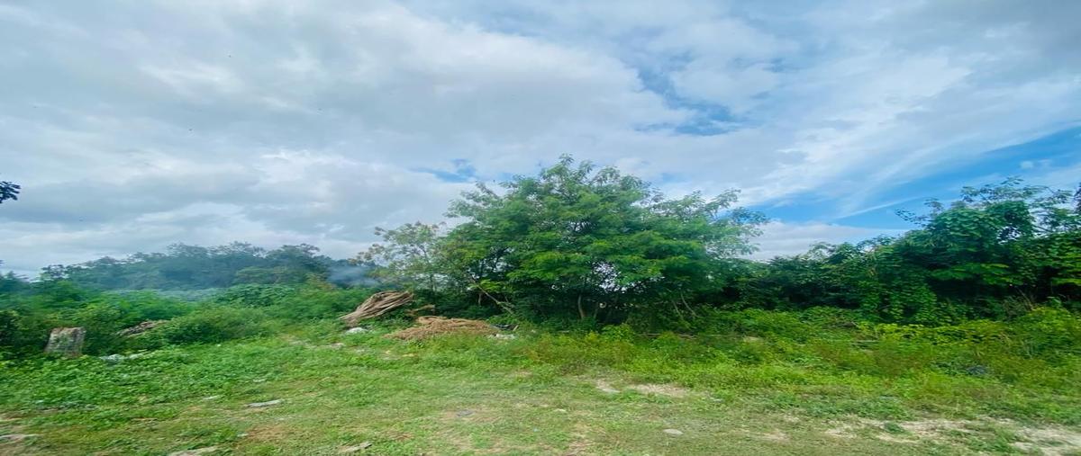 Foto de terreno comercial en leona vicario , ixchel, benito juárez, quintana roo, 0 foto 03 Foto de terreno comercial en venta en leona vicario , ixchel, benito juárez, quintana roo, 0 No. 03