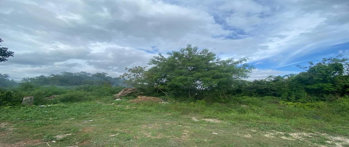 Foto de terreno comercial en leona vicario , ixchel, benito juárez, quintana roo, 0 foto 04 Foto de terreno comercial en venta en leona vicario , ixchel, benito juárez, quintana roo, 0 No. 04