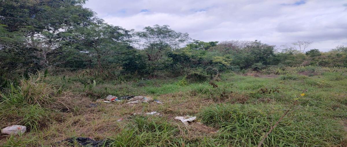 Foto de terreno habitacional en venta en  , leona vicario, kanasín, yucatán, 26037476 No. 05