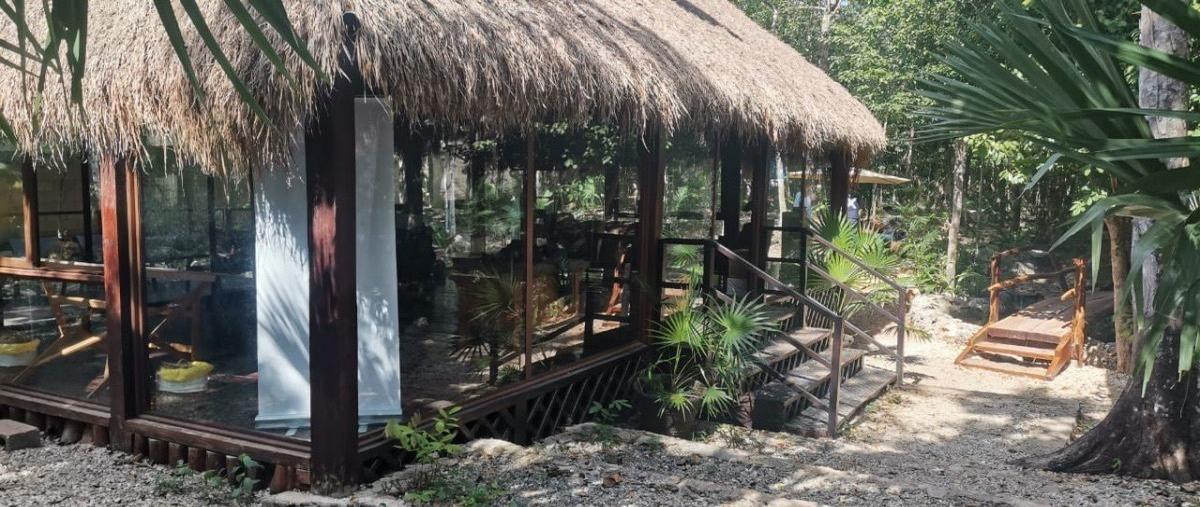 Foto de terreno habitacional en venta en  , leona vicario, puerto morelos, quintana roo, 26856125 No. 04