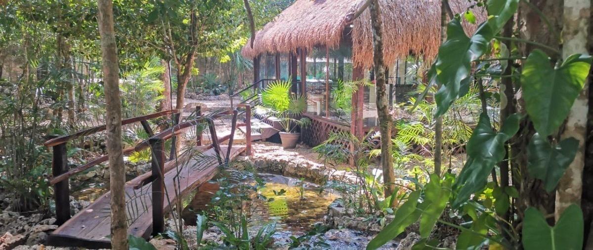 Foto de terreno habitacional en venta en  , leona vicario, puerto morelos, quintana roo, 26856125 No. 05