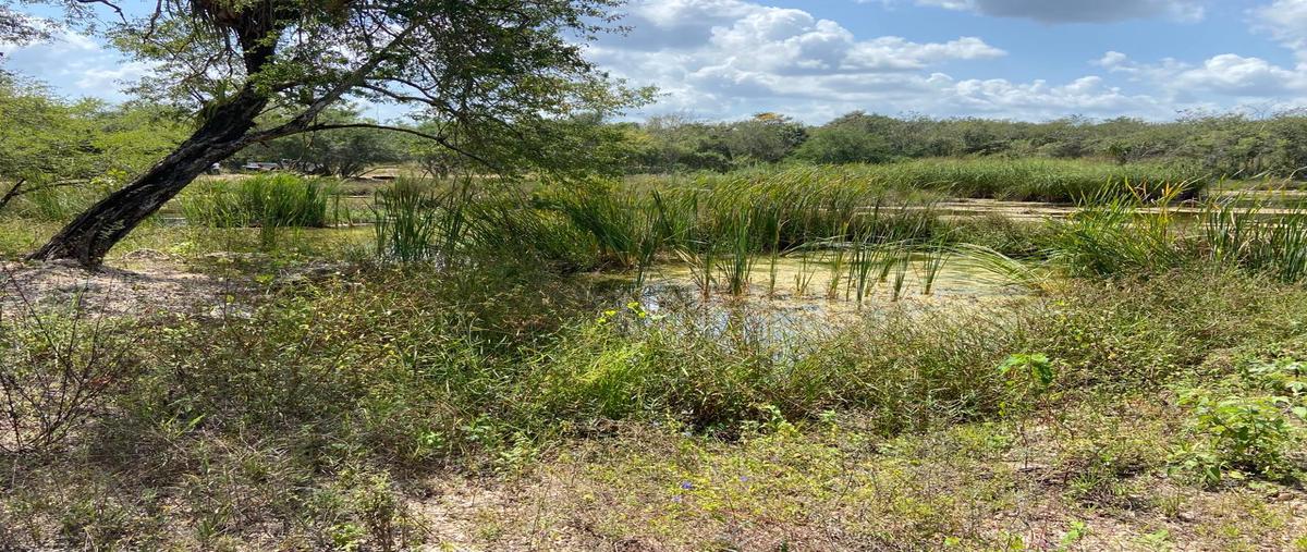 Foto de terreno habitacional en venta en  , leona vicario, puerto morelos, quintana roo, 27848251 No. 04