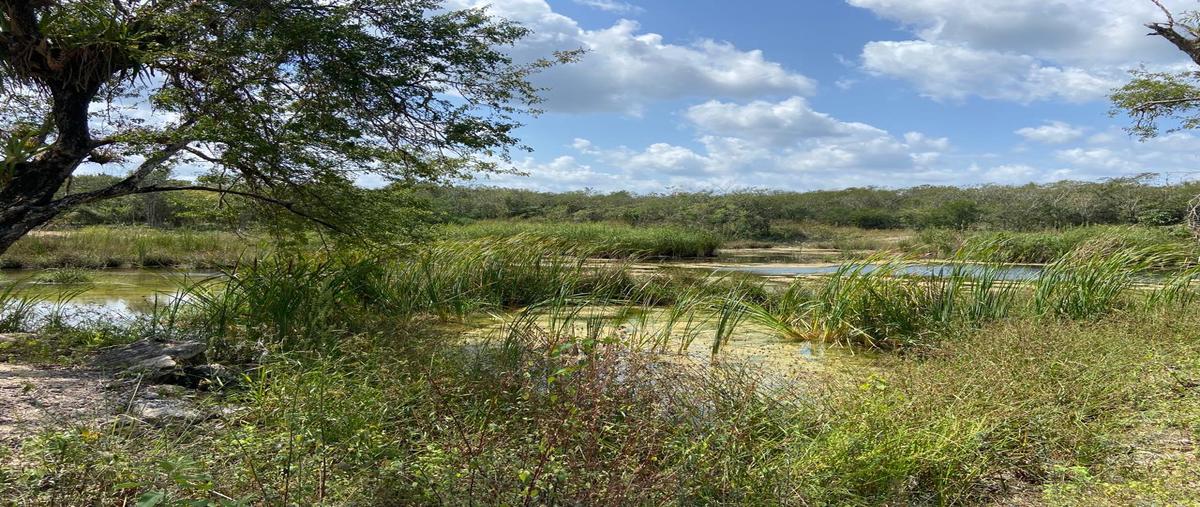 Foto de terreno habitacional en venta en  , leona vicario, puerto morelos, quintana roo, 27848251 No. 05
