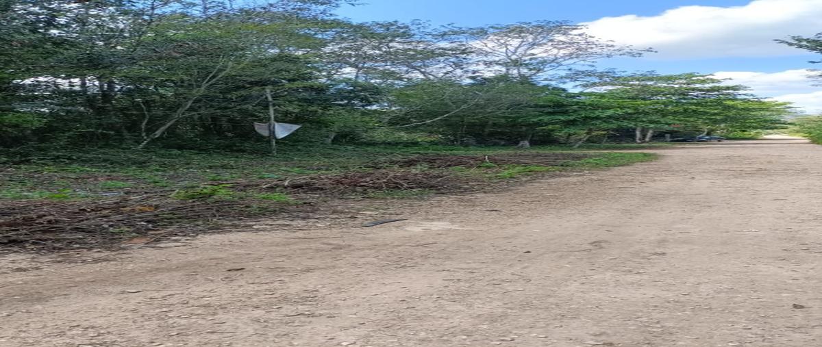 Foto de terreno habitacional en venta en  , leona vicario, puerto morelos, quintana roo, 27951885 No. 03