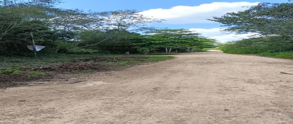 Foto de terreno habitacional en , leona vicario, puerto morelos, quintana roo, 27951886 foto 01 Foto de terreno habitacional en venta en , leona vicario, puerto morelos, quintana roo, 27951886 No. 01