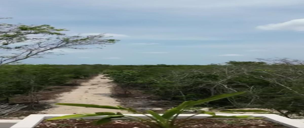 Foto de terreno habitacional en venta en  , leona vicario, puerto morelos, quintana roo, 0 No. 03