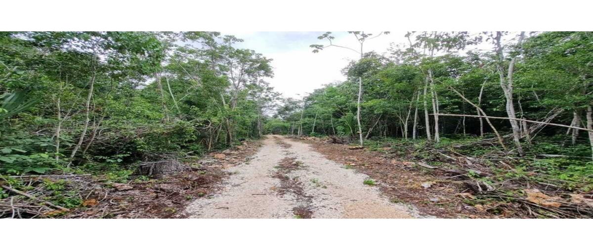 Foto de terreno habitacional en venta en  , leona vicario, puerto morelos, quintana roo, 0 No. 05