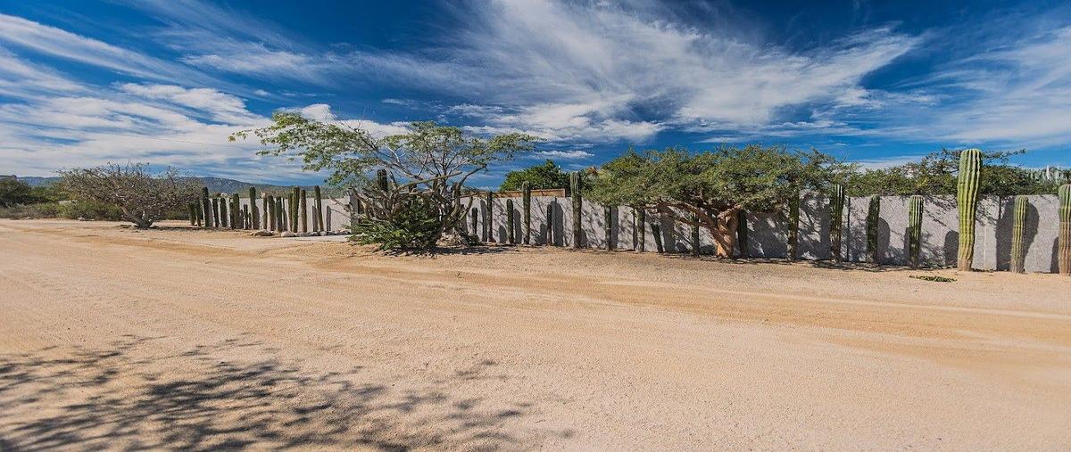 Foto de rancho en venta en leonor meza martinez , el sargento, la paz, baja california sur, 30909402 No. 03