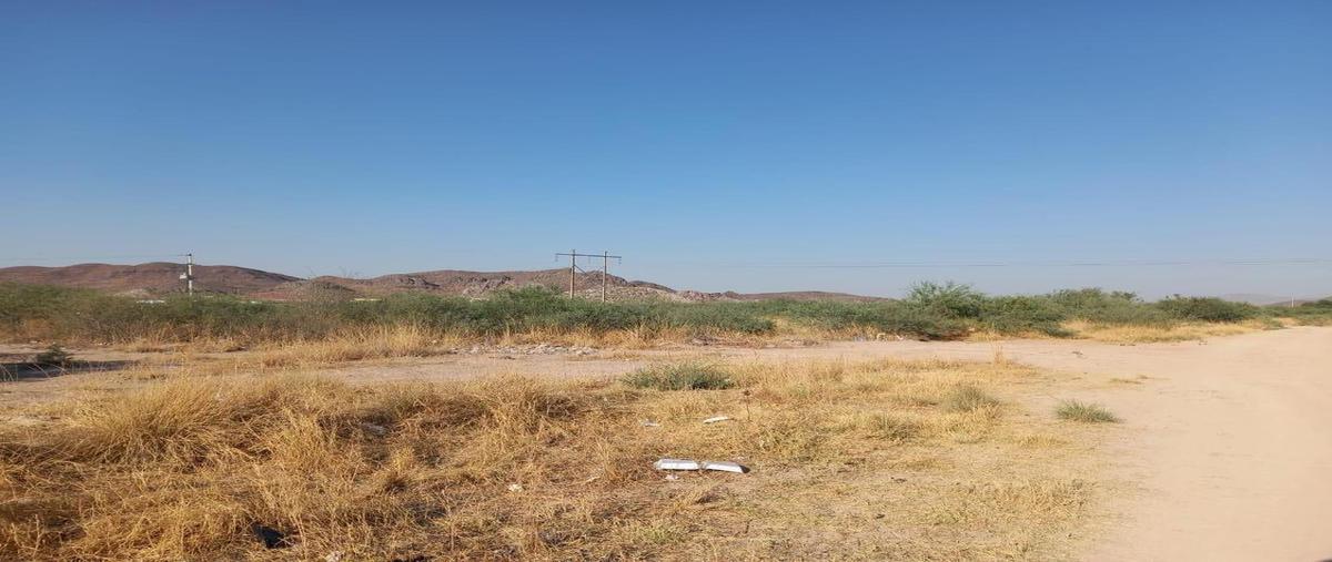 Foto de terreno comercial en venta en  , lerdo centro, lerdo, durango, 0 No. 04