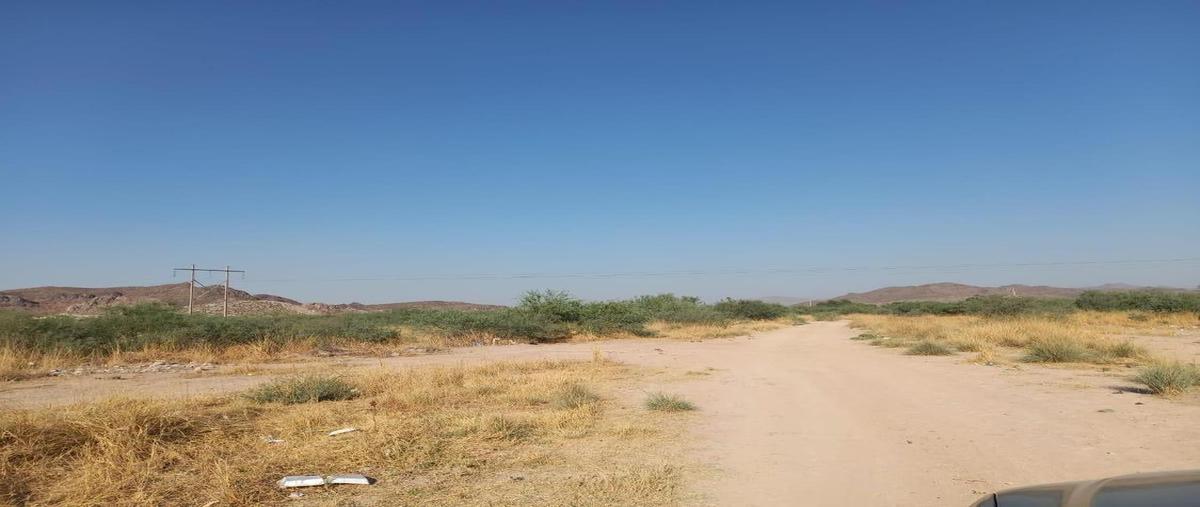 Foto de terreno comercial en venta en  , lerdo centro, lerdo, durango, 0 No. 05