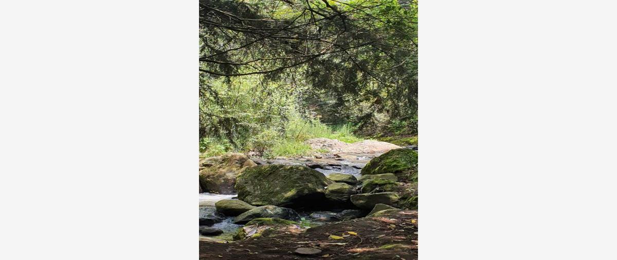 Foto de terreno habitacional en venta en lerma 1, santa cruz huitzizilapan, lerma, méxico, 26699013 No. 03