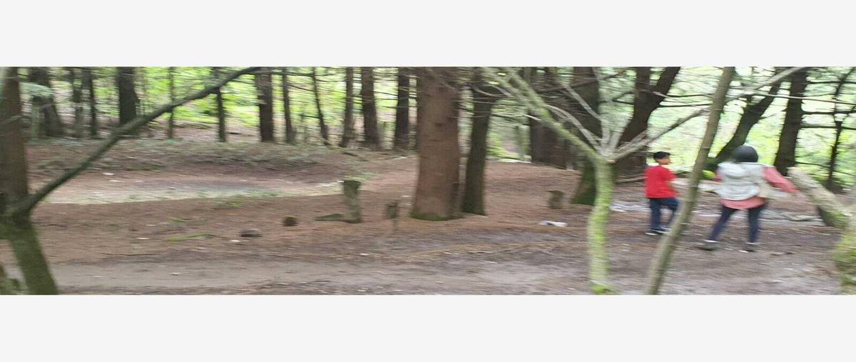 Foto de terreno habitacional en venta en lerma 1, santa cruz huitzizilapan, lerma, méxico, 26699013 No. 04