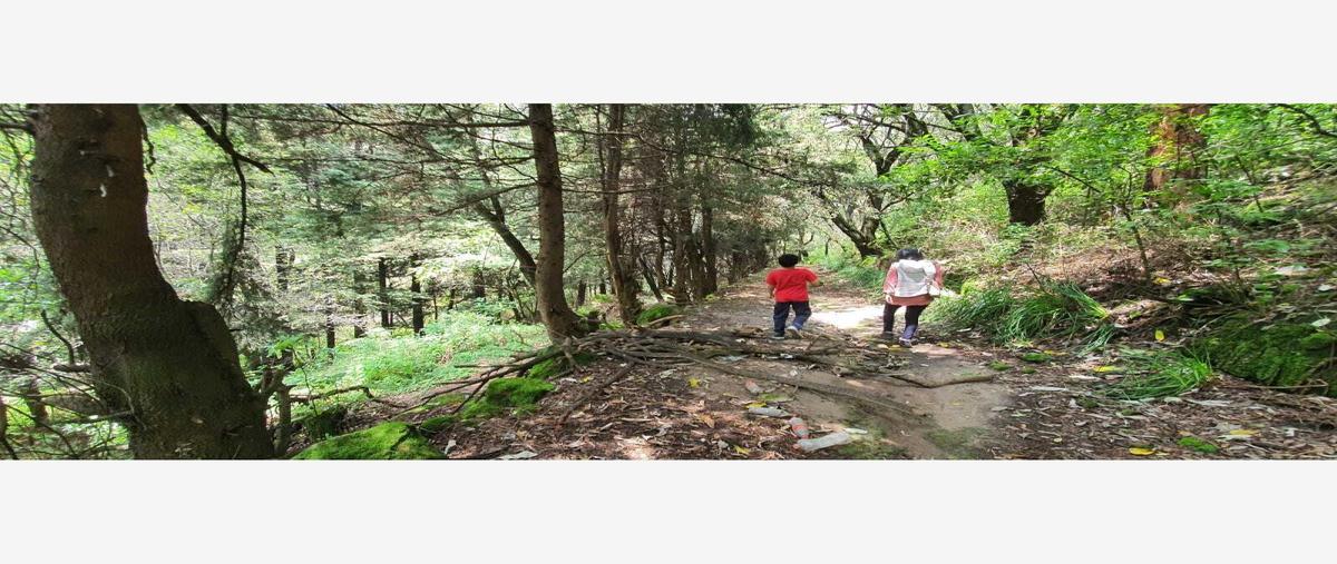 Foto de terreno habitacional en venta en lerma 1, santa cruz huitzizilapan, lerma, méxico, 26699013 No. 05