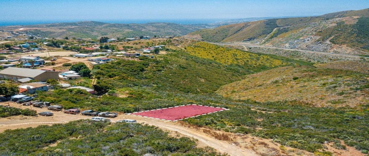 Foto de terreno habitacional en venta en ley de la reforma avenida b , loma linda, ensenada, baja california, 29939081 No. 03