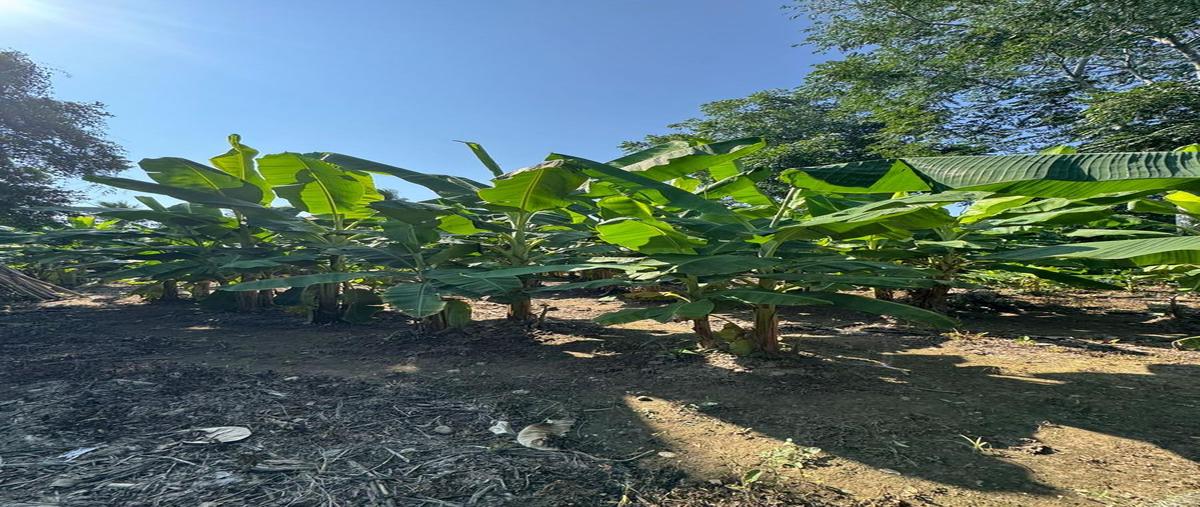 Foto de terreno habitacional en venta en  , leyes de reforma, san josé chiltepec, oaxaca, 0 No. 03