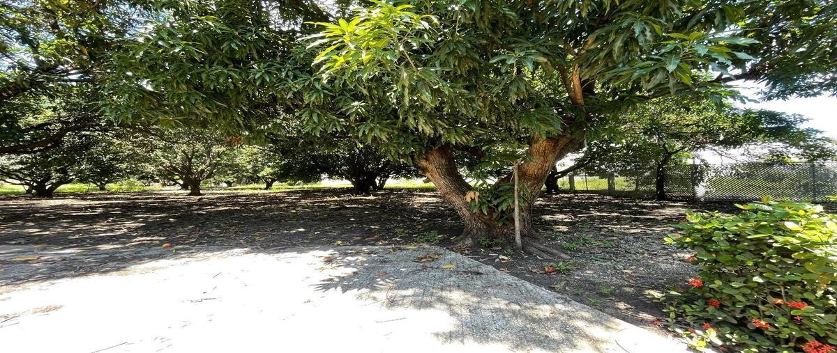 Foto de terreno habitacional en renta en lib sur oriente , josé castillo tielemans, tuxtla gutiérrez, chiapas, 24156715 No. 04