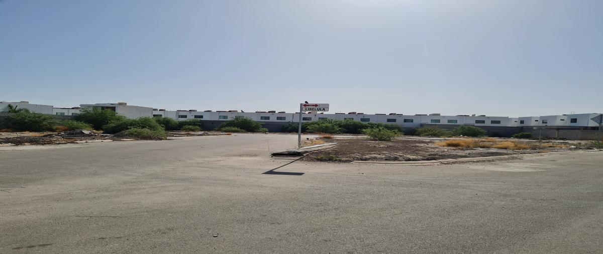 Foto de terreno habitacional en venta en libelula , villa de las palmas, torreón, coahuila de zaragoza, 26392749 No. 05