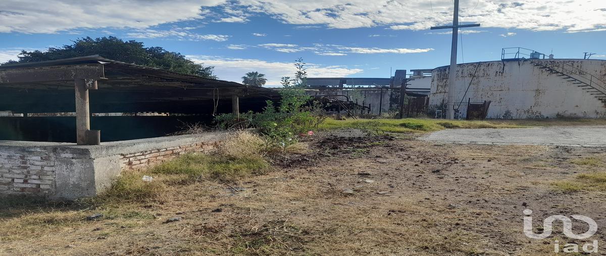 Foto de terreno industrial en venta en libertad 260, estipac, villa corona, jalisco, 28725924 No. 04