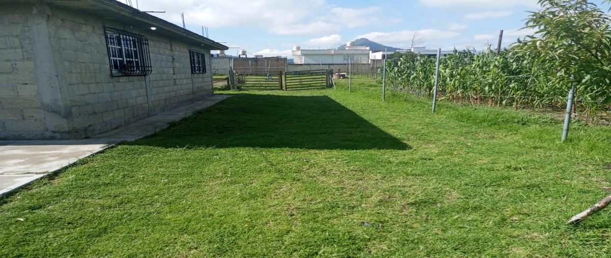 Foto de casa en venta en libertad , calixtlahuaca, toluca, méxico, 29379608 No. 03