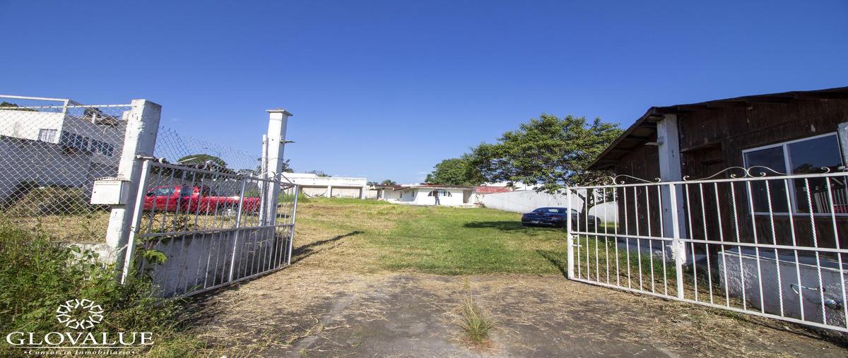 Foto de terreno habitacional en venta en  , libertad, coatepec, veracruz de ignacio de la llave, 31309760 No. 04