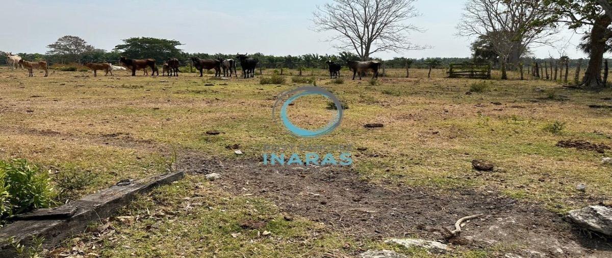Foto de rancho en libertad , sabancuy centro, carmen, campeche, 28070078 foto 01 Foto de rancho en venta en libertad , sabancuy centro, carmen, campeche, 28070078 No. 01