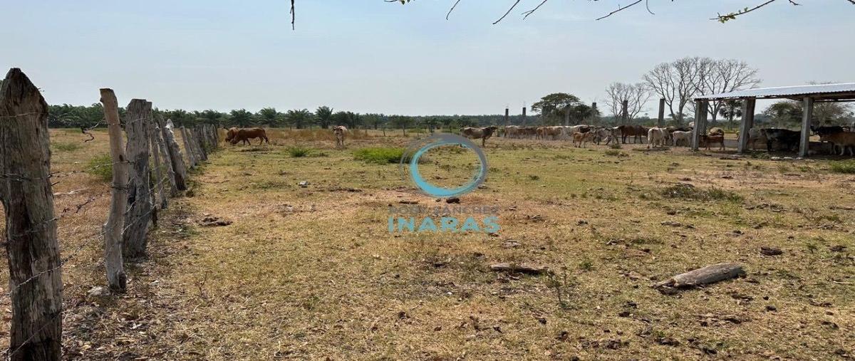 Foto de rancho en libertad , sabancuy centro, carmen, campeche, 28070078 foto 03 Foto de rancho en venta en libertad , sabancuy centro, carmen, campeche, 28070078 No. 03
