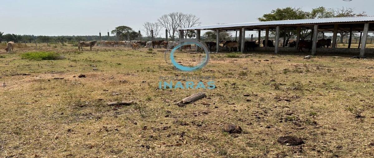 Foto de rancho en libertad , sabancuy centro, carmen, campeche, 28070078 foto 04 Foto de rancho en venta en libertad , sabancuy centro, carmen, campeche, 28070078 No. 04