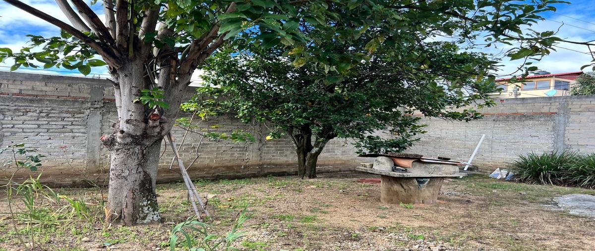 Foto de terreno comercial en venta en libertad , san andres ixtlahuaca, san andrés ixtlahuaca, oaxaca, 30527693 No. 05