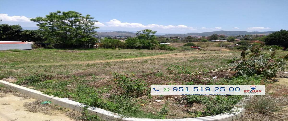 Foto de terreno habitacional en venta en libertad , san luis beltran, oaxaca de juárez, oaxaca, 5966039 No. 04