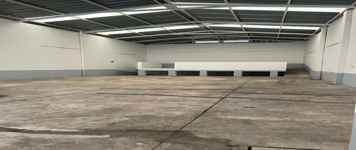 Foto de bodega en renta en libertad , solidaridad, san pedro tlaquepaque, jalisco, 30159865 No. 05