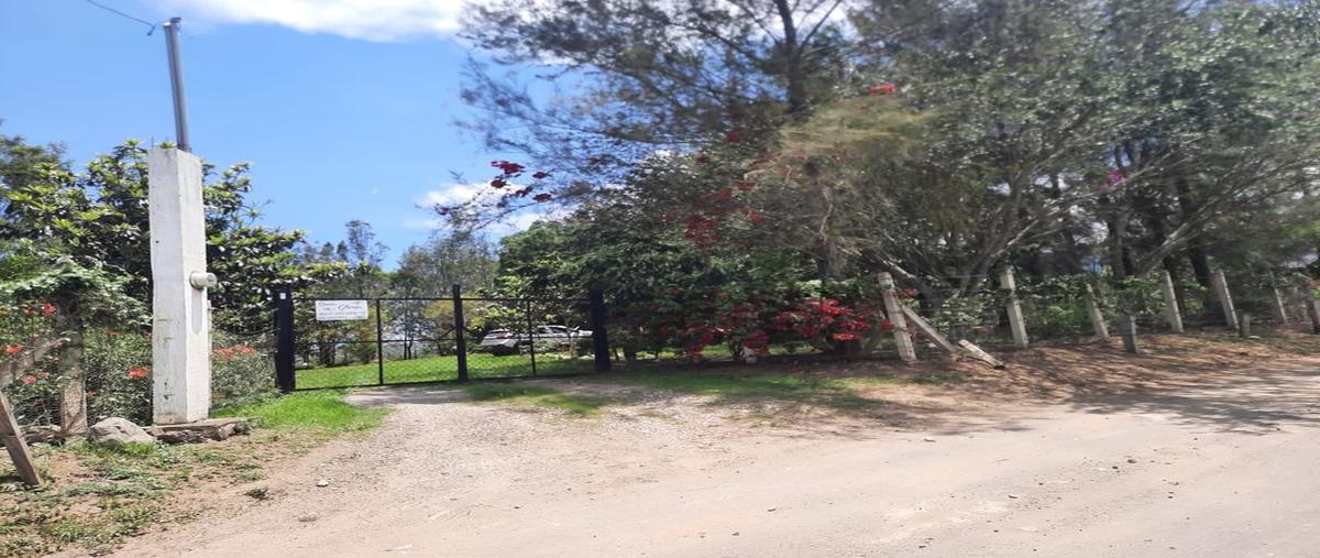 Foto de rancho en venta en liborio montes , la mesa, zapotlán el grande, jalisco, 0 No. 02